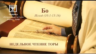 Бо (Исход 10:1 – 13:16)
