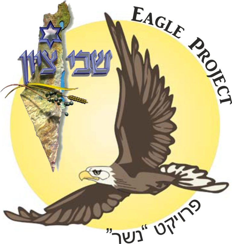Eagle Project-2015