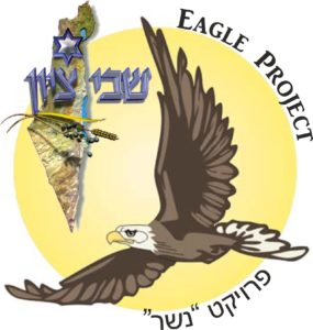 Eagle Project – 2016